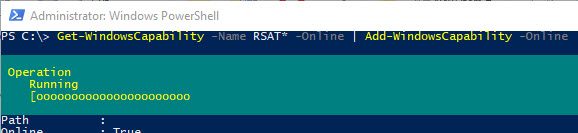 Add-WindowsCapability install rsat using powershell