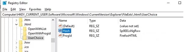 program assotiations on windows in registry: FileExts UserChoice
