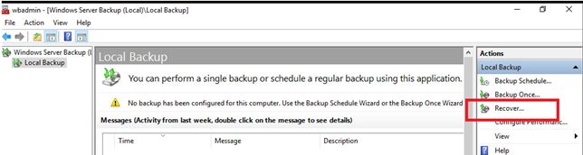 run the recover wizard in windows server backup tool